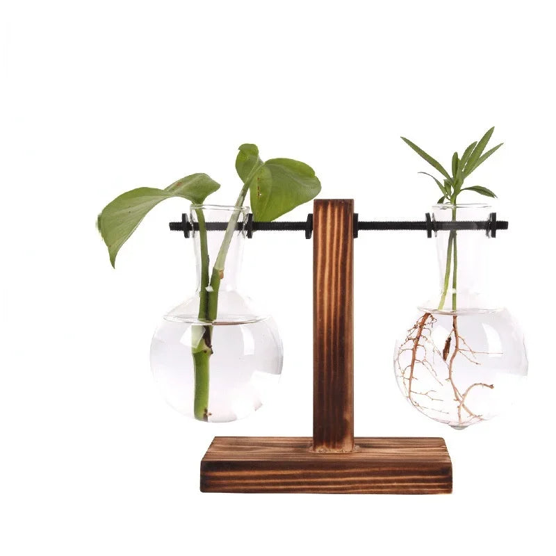 Hydroponic Plant Terrarium Vase – Glass Desktop Decor for Home & Office