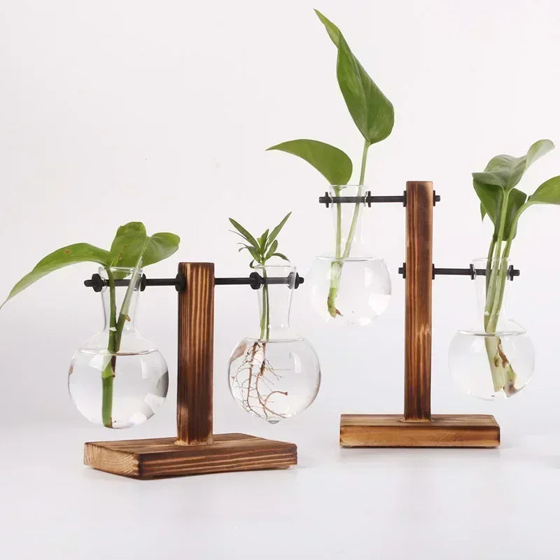 Hydroponic Plant Terrarium Vase – Glass Desktop Decor for Home & Office