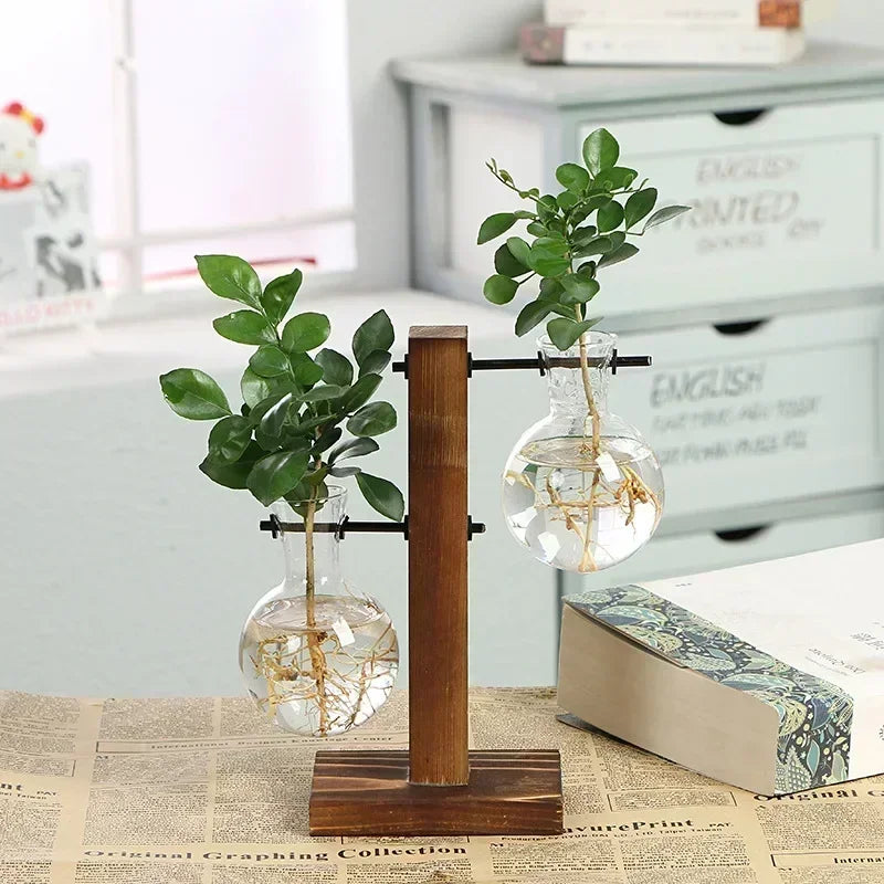 Hydroponic Plant Terrarium Vase – Glass Desktop Decor for Home & Office