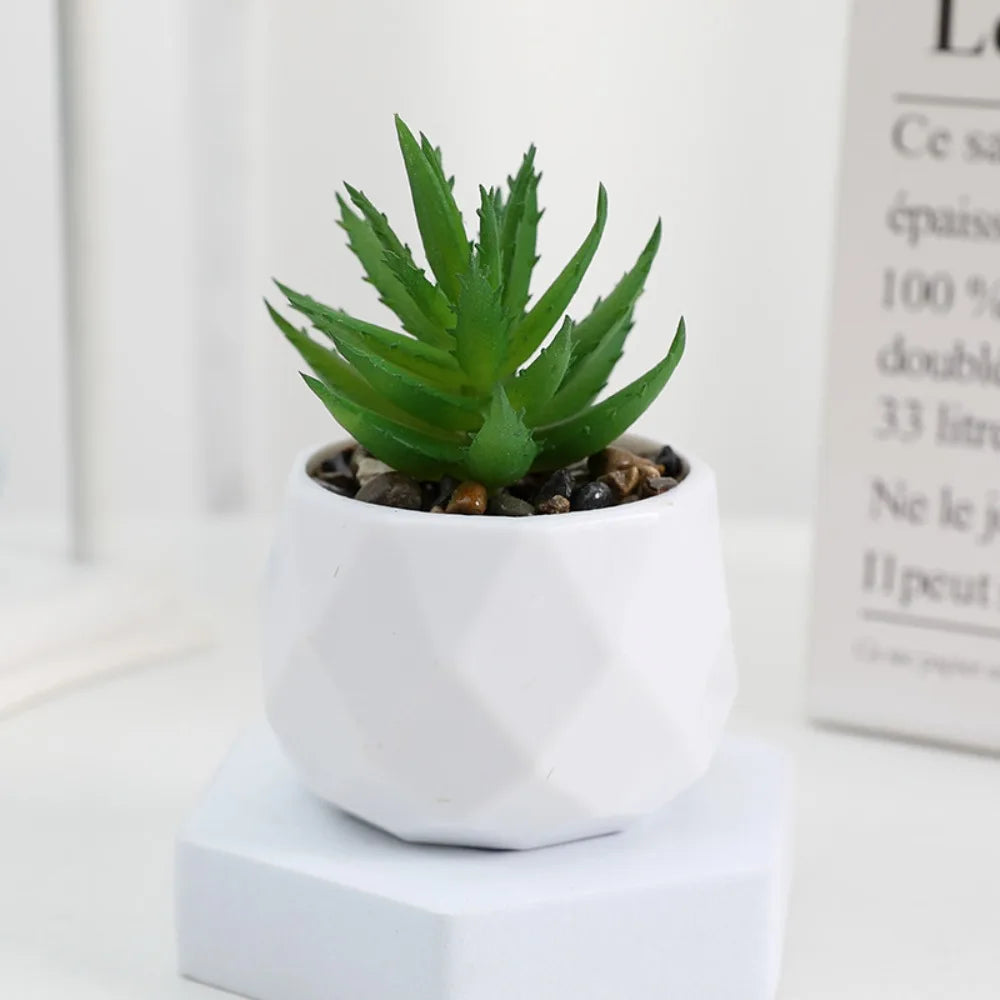 Artificial Succulent Bonsai – Mini Cactus & Evergreen Fake Plants Decor