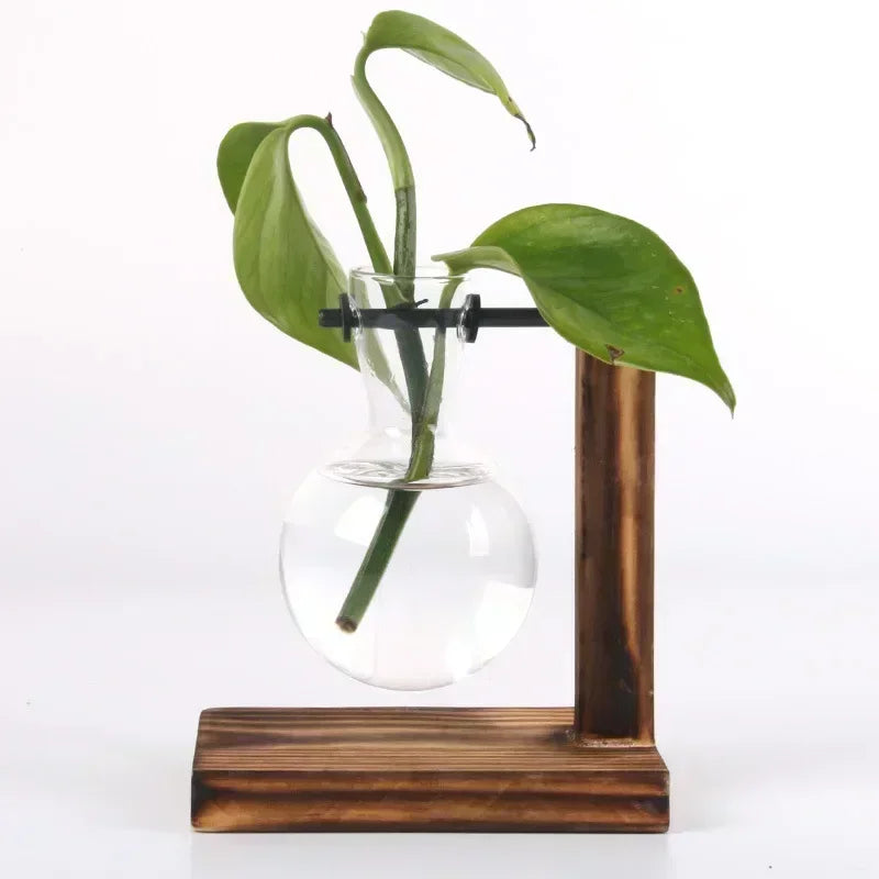 Hydroponic Plant Terrarium Vase – Glass Desktop Decor for Home & Office