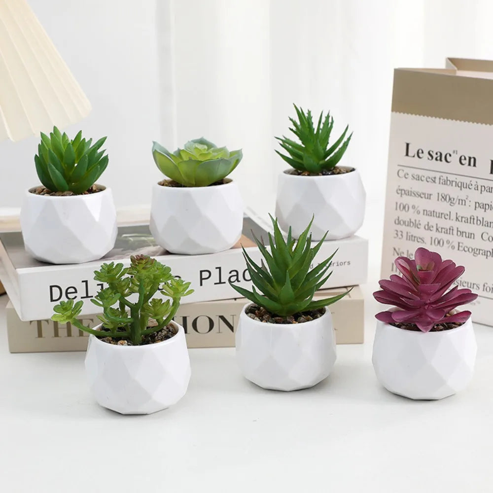 Artificial Succulent Bonsai – Mini Cactus & Evergreen Fake Plants Decor