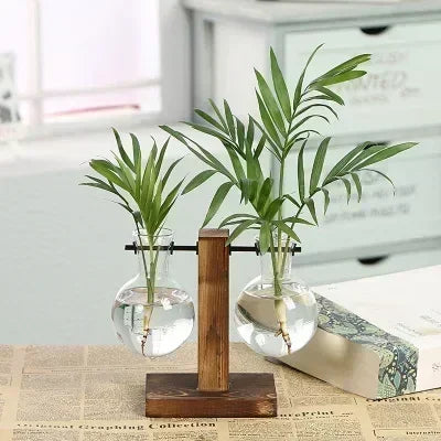 Hydroponic Plant Terrarium Vase – Glass Desktop Decor for Home & Office